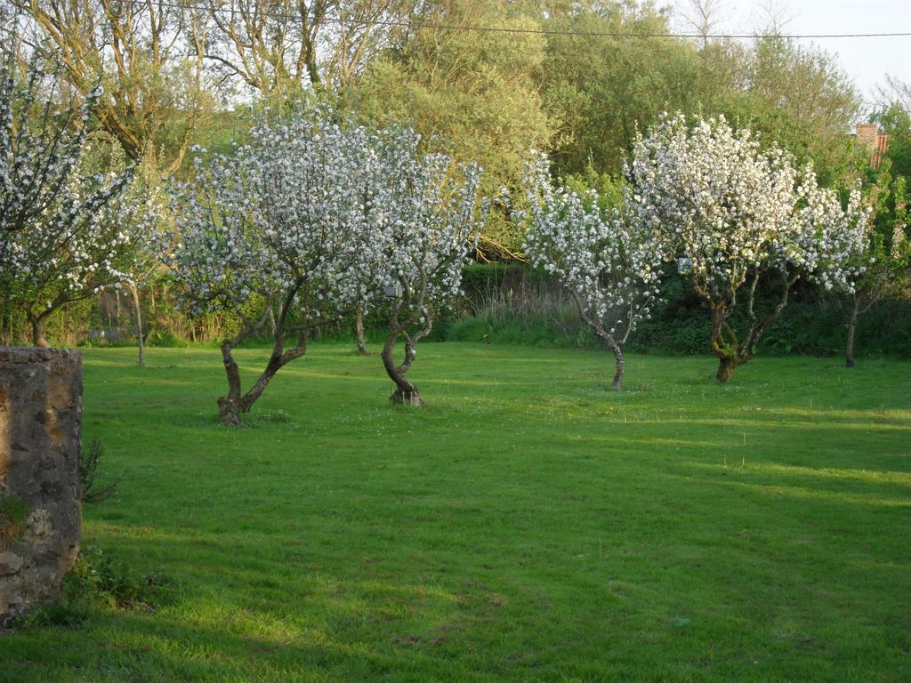 Domaine De La Ronville Wimereux Esterno foto